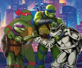 cover art for this set