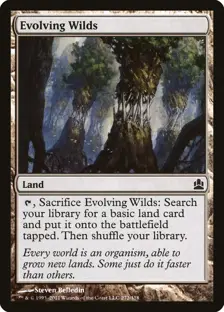 Evolving Wilds